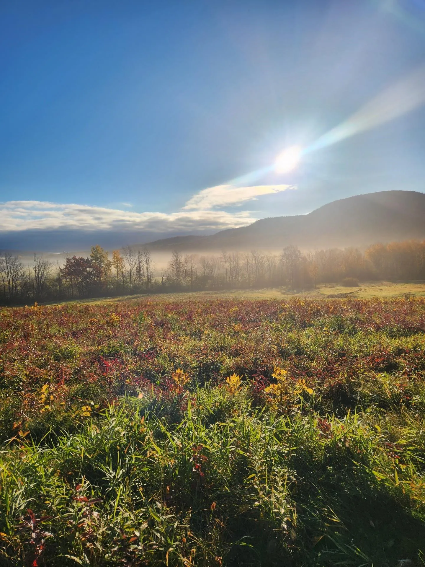 5195 Route 22 A Addison VT 05491