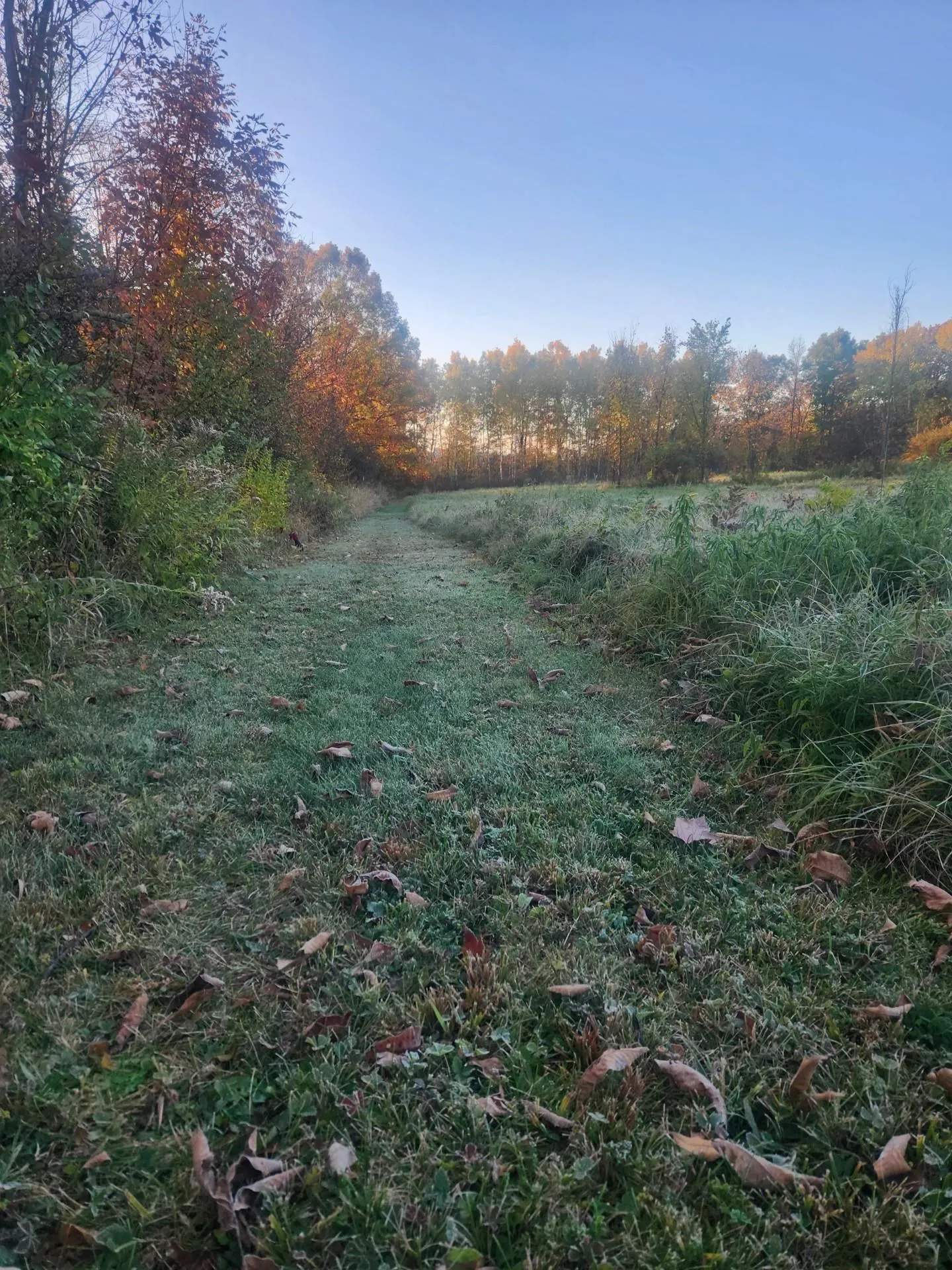 5195 Route 22 A Addison VT 05491