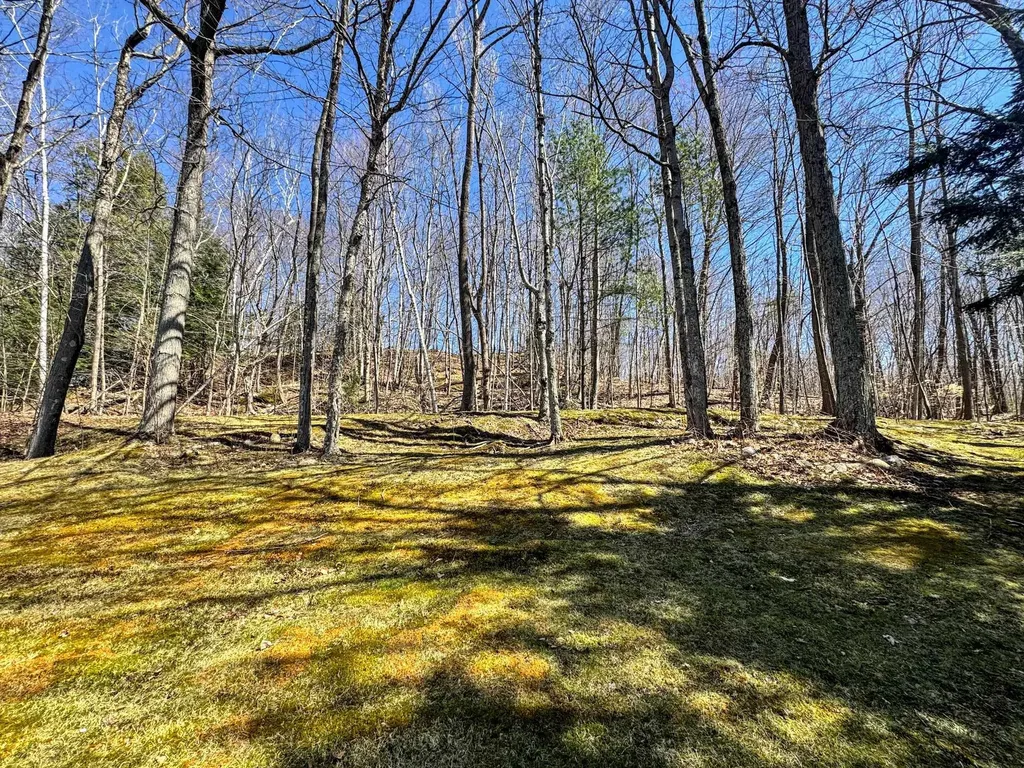 38 Cyr Court Bennington VT 05201