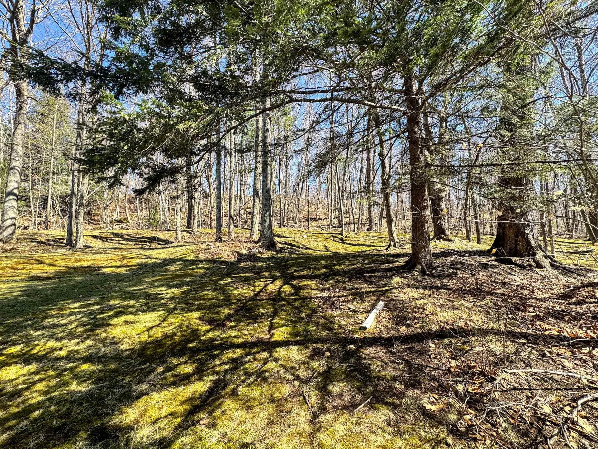38 Cyr Court Bennington VT 05201