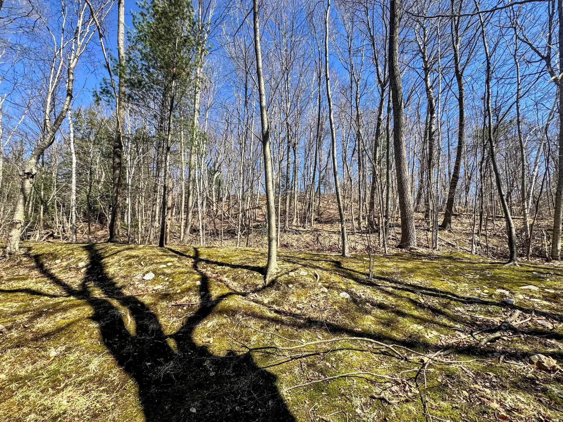 38 Cyr Court Bennington VT 05201