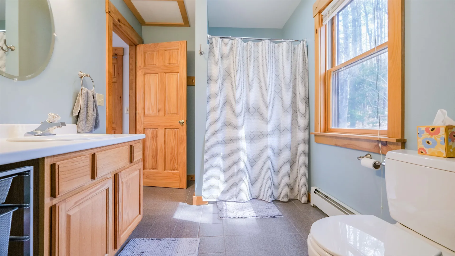 48 Holly Lane Ludlow VT 05149