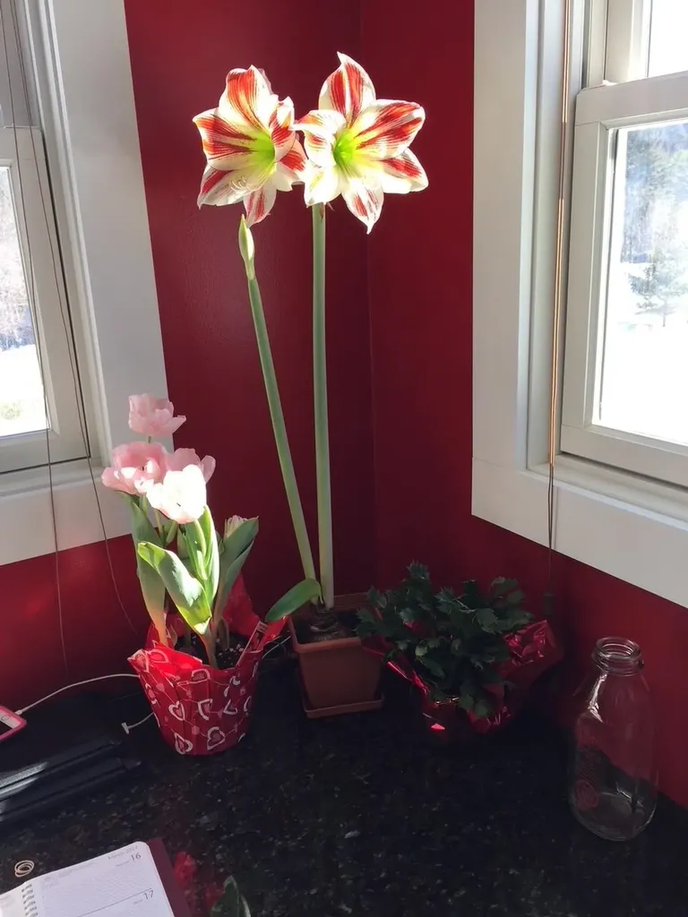 137 Stratton Arlington Road Wardsboro VT 05360