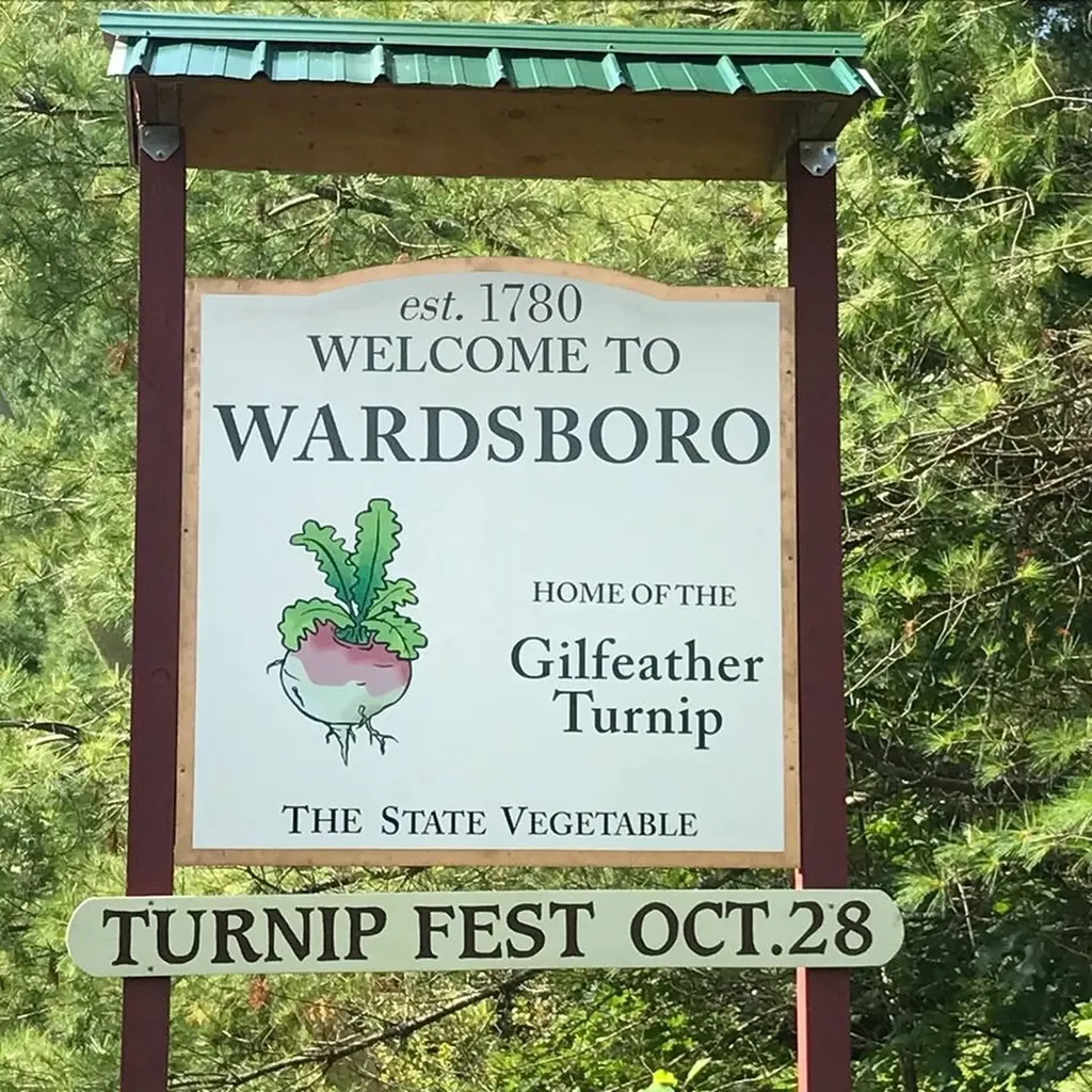 137 Stratton Arlington Road Wardsboro VT 05360