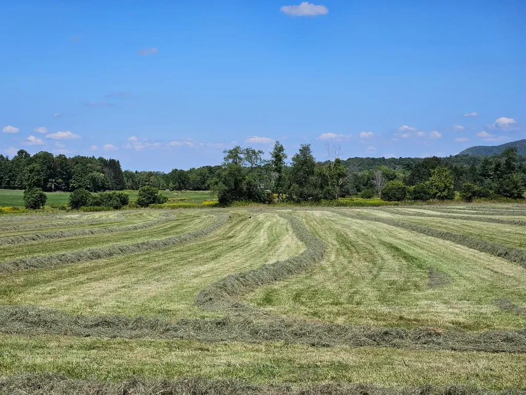 Lot 2 Plains Road Georgia VT 05478