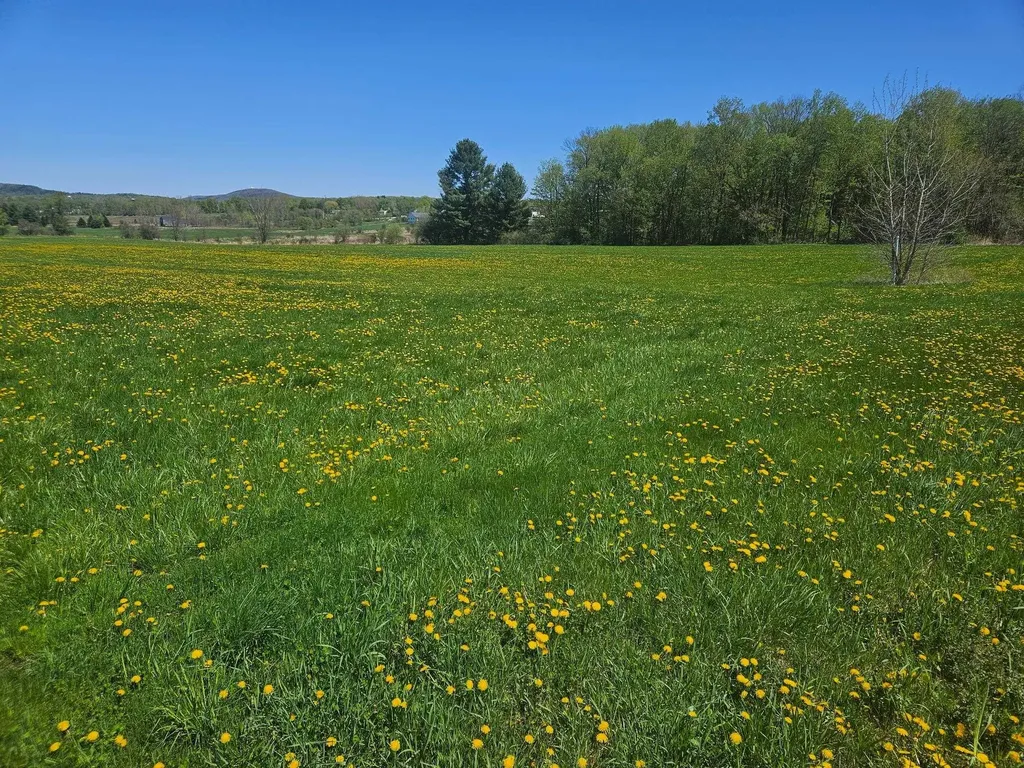 Lot 2 Plains Road Georgia VT 05478