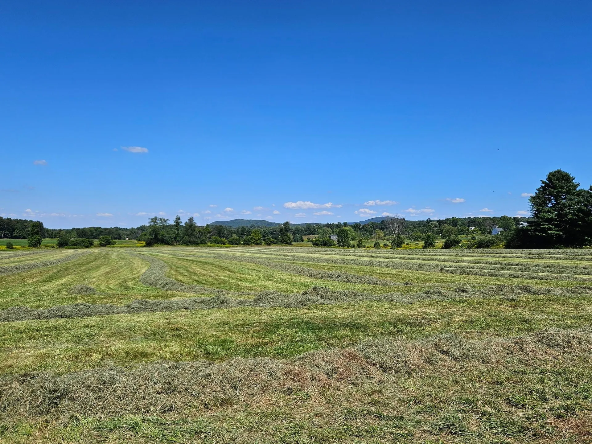 Lot 2 Plains Road Georgia VT 05478
