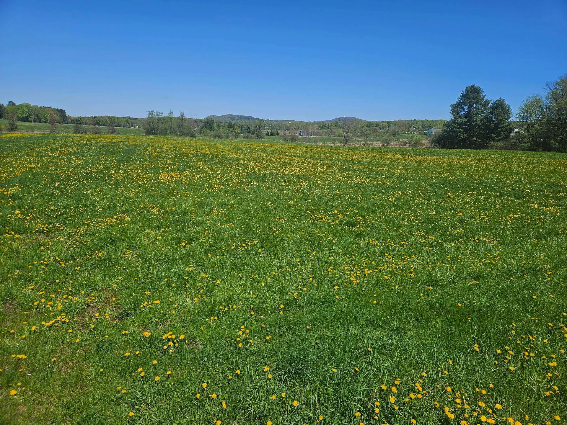 Lot 2 Plains Road Georgia VT 05478