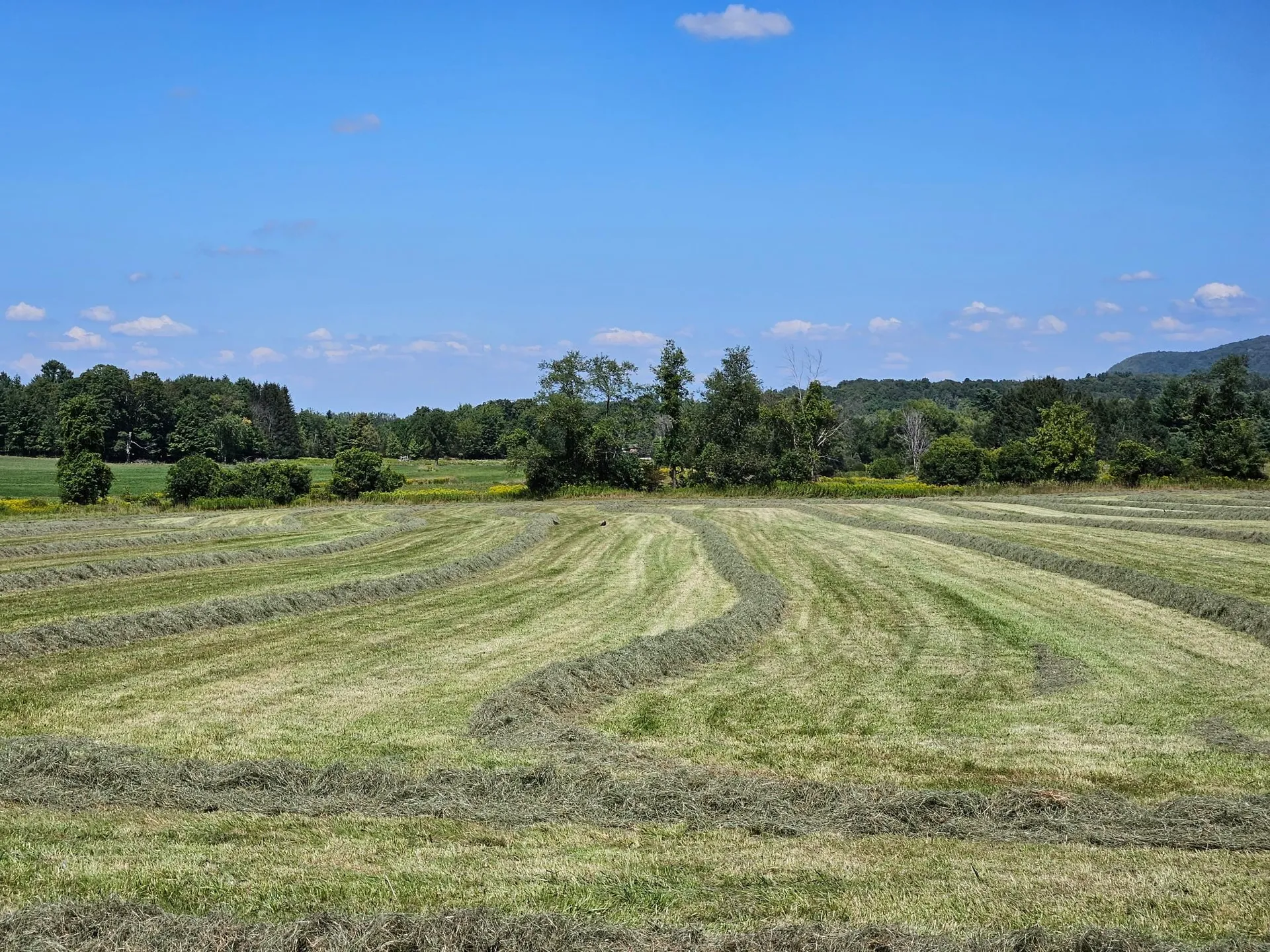 Lot 2 Plains Road Georgia VT 05478
