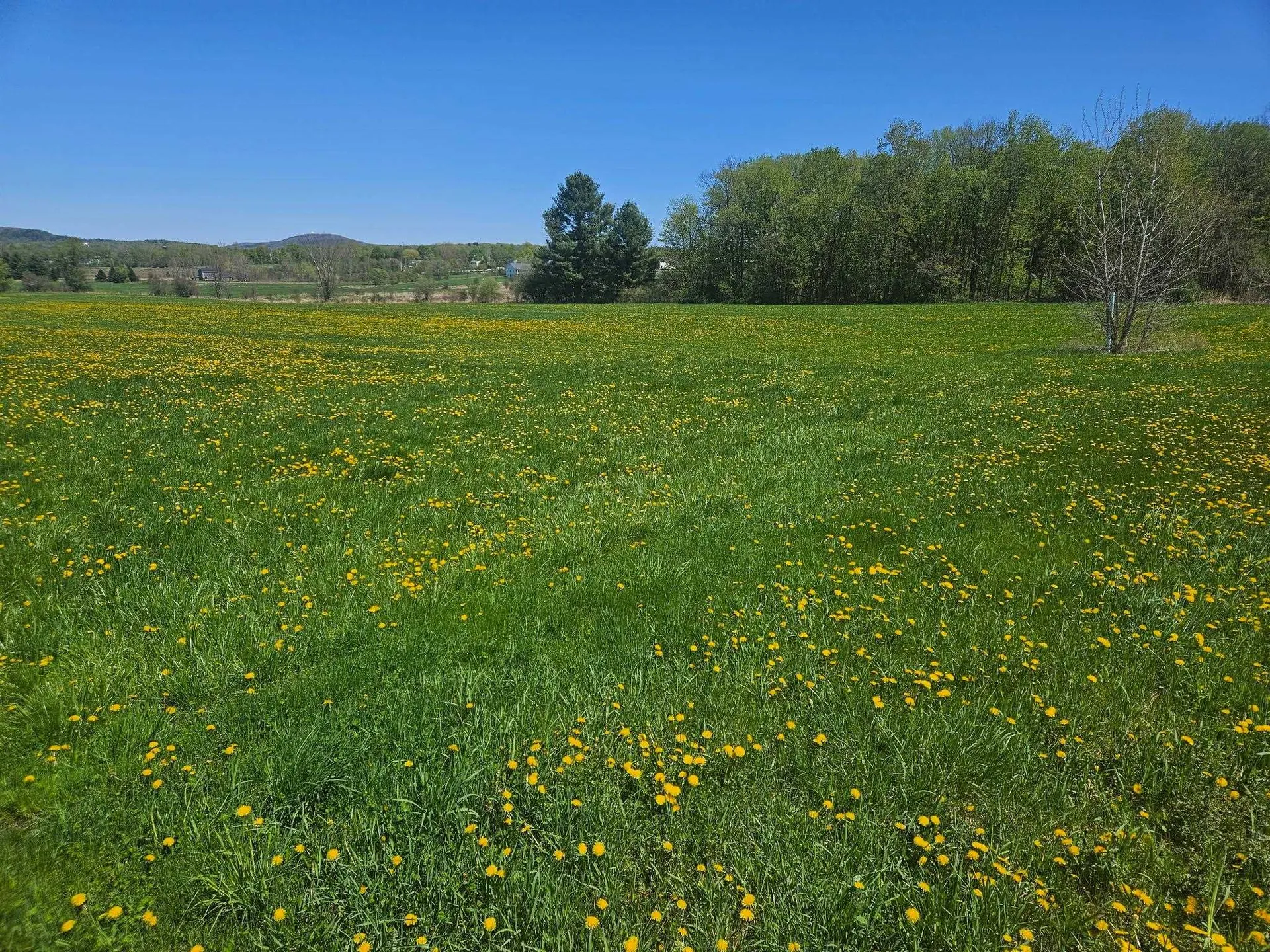 Lot 2 Plains Road Georgia VT 05478