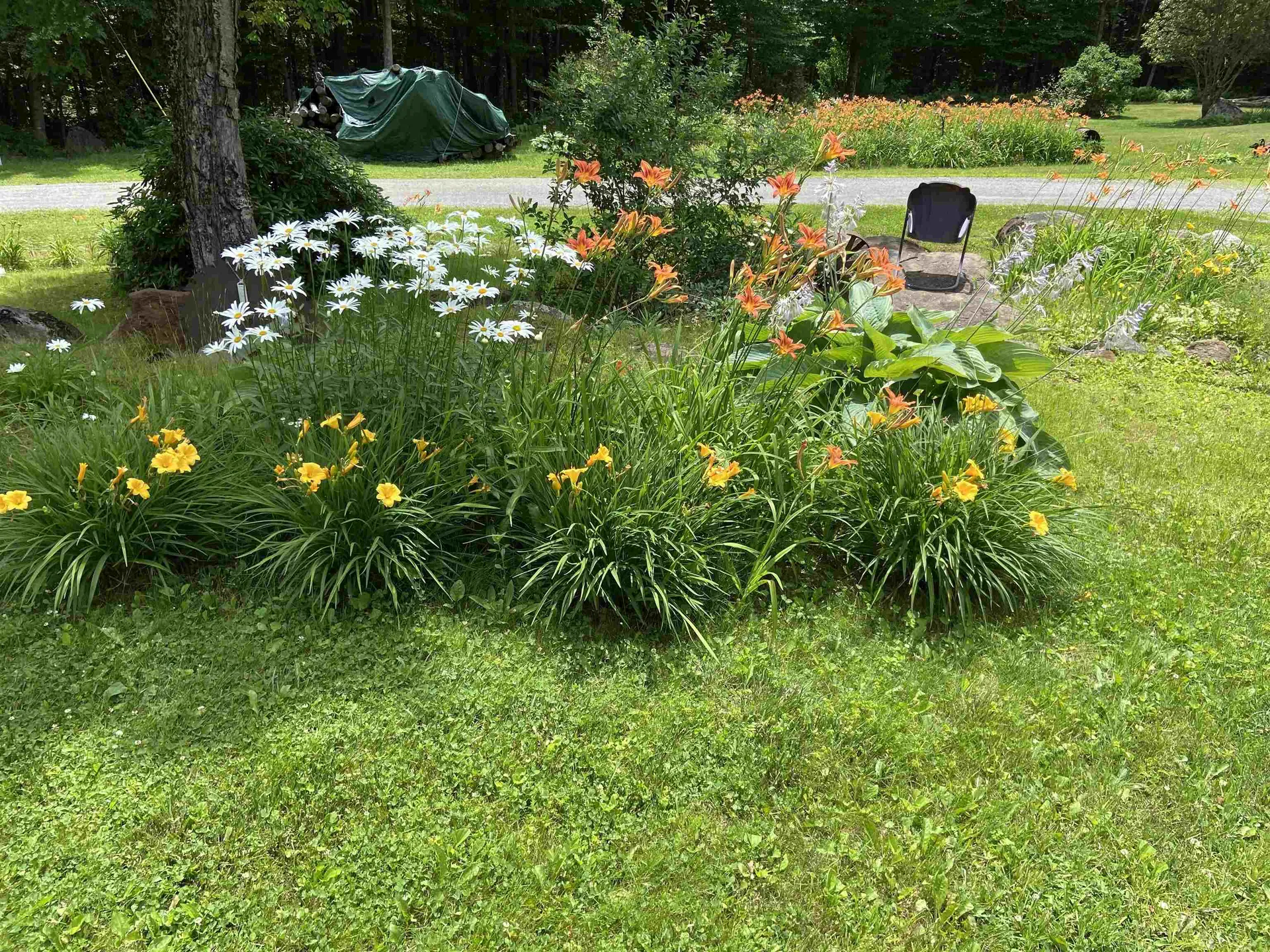 533 Juniper Hill Road Stoddard NH 03464