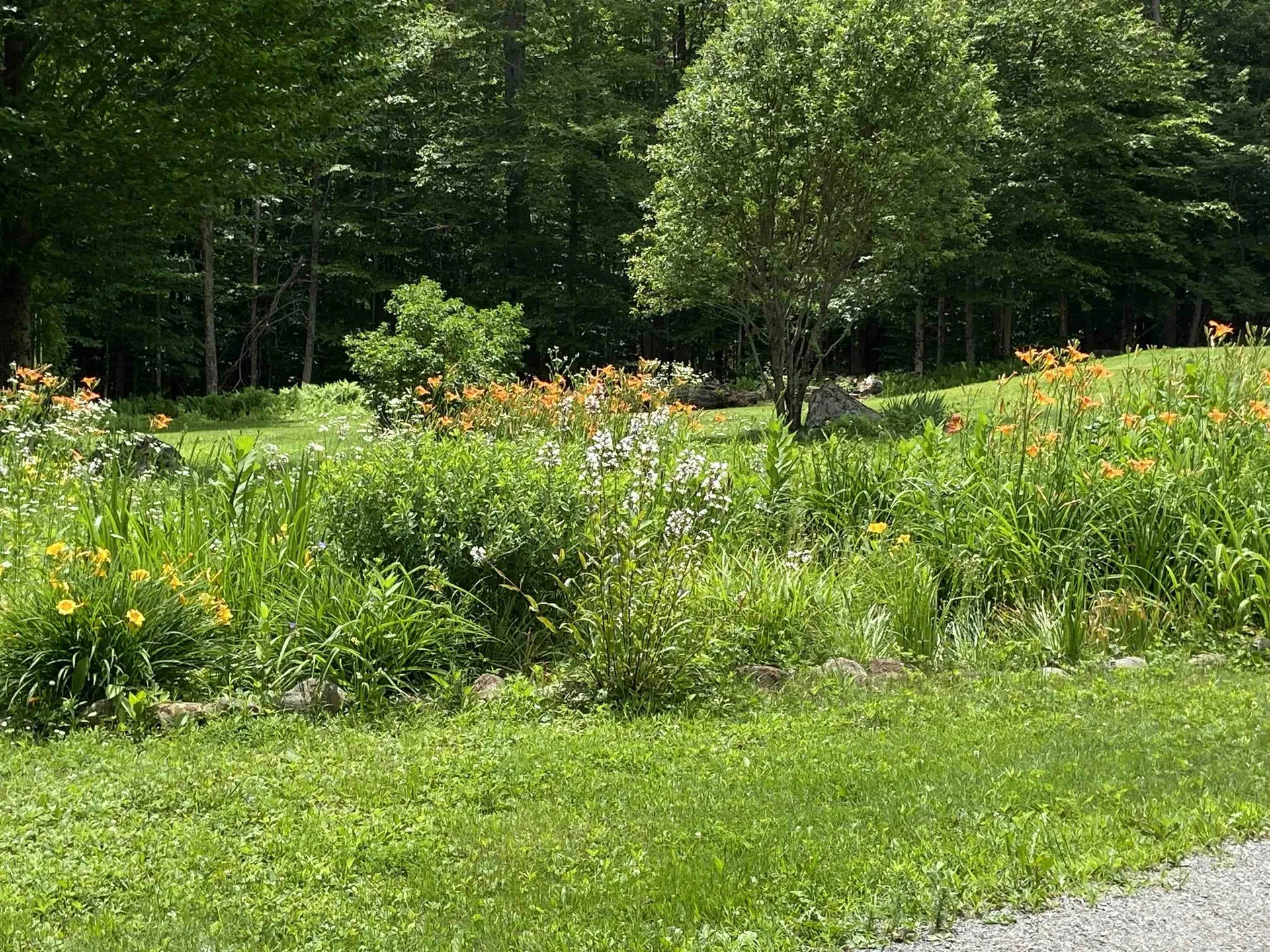 533 Juniper Hill Road Stoddard NH 03464