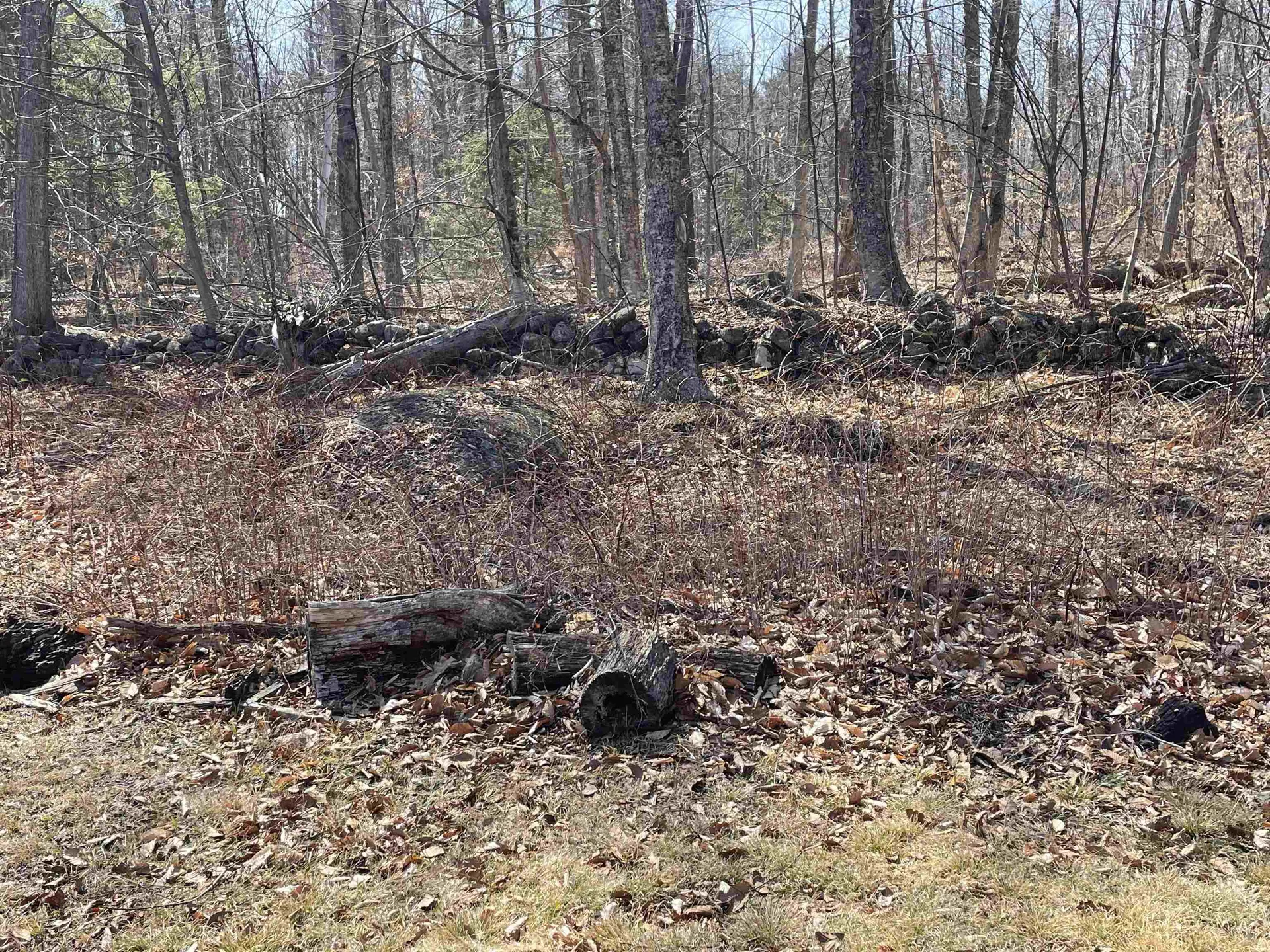533 Juniper Hill Road Stoddard NH 03464