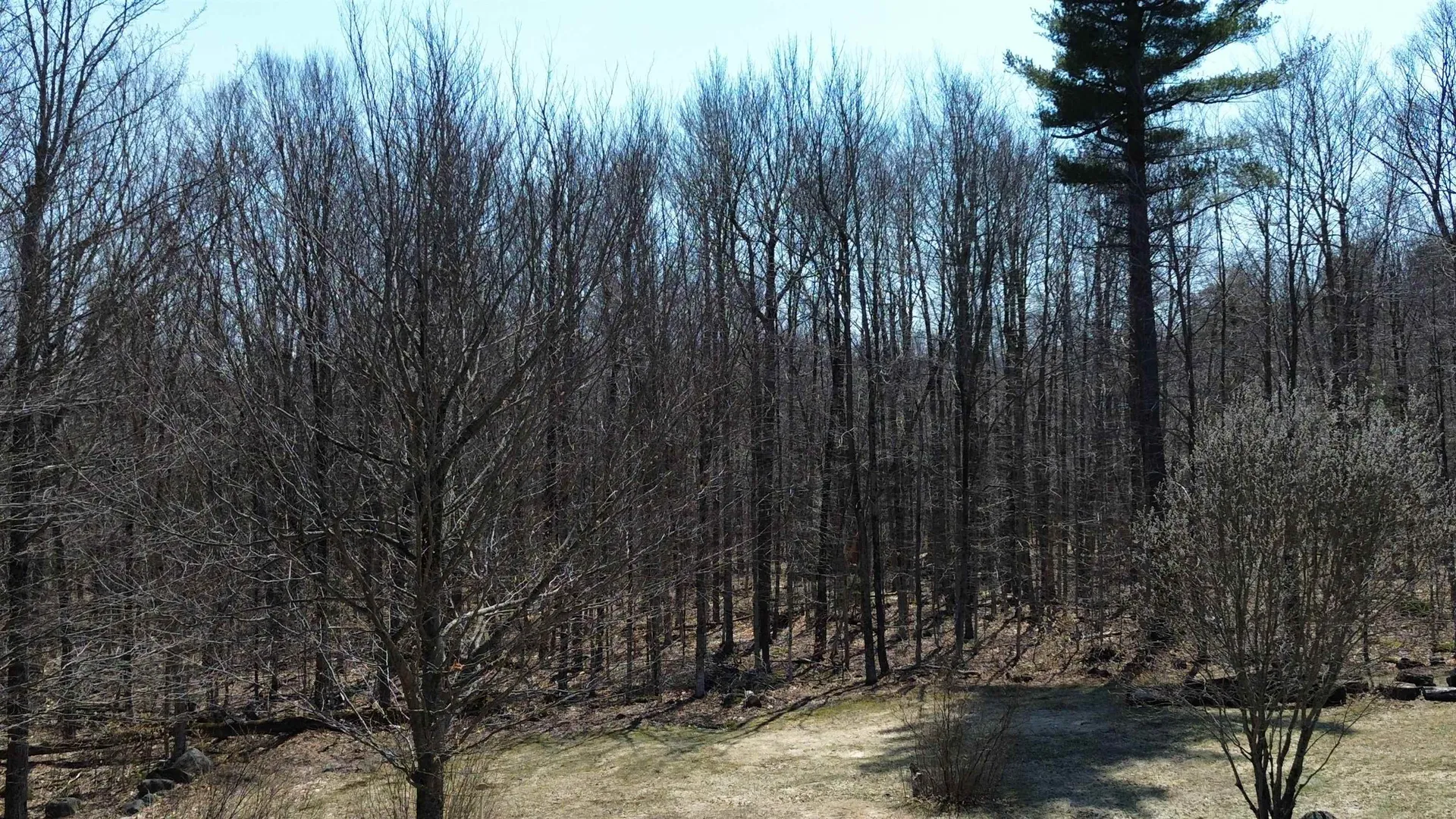 533 Juniper Hill Road Stoddard NH 03464