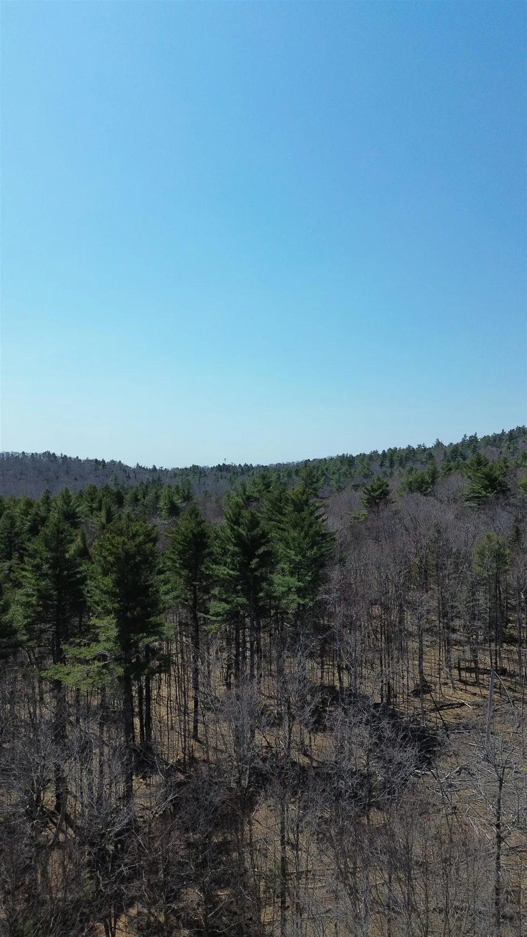 533 Juniper Hill Road Stoddard NH 03464