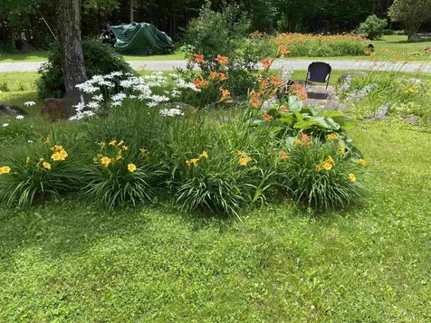 533 Juniper Hill Road Stoddard NH 03464