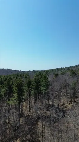 533 Juniper Hill Road Stoddard NH 03464