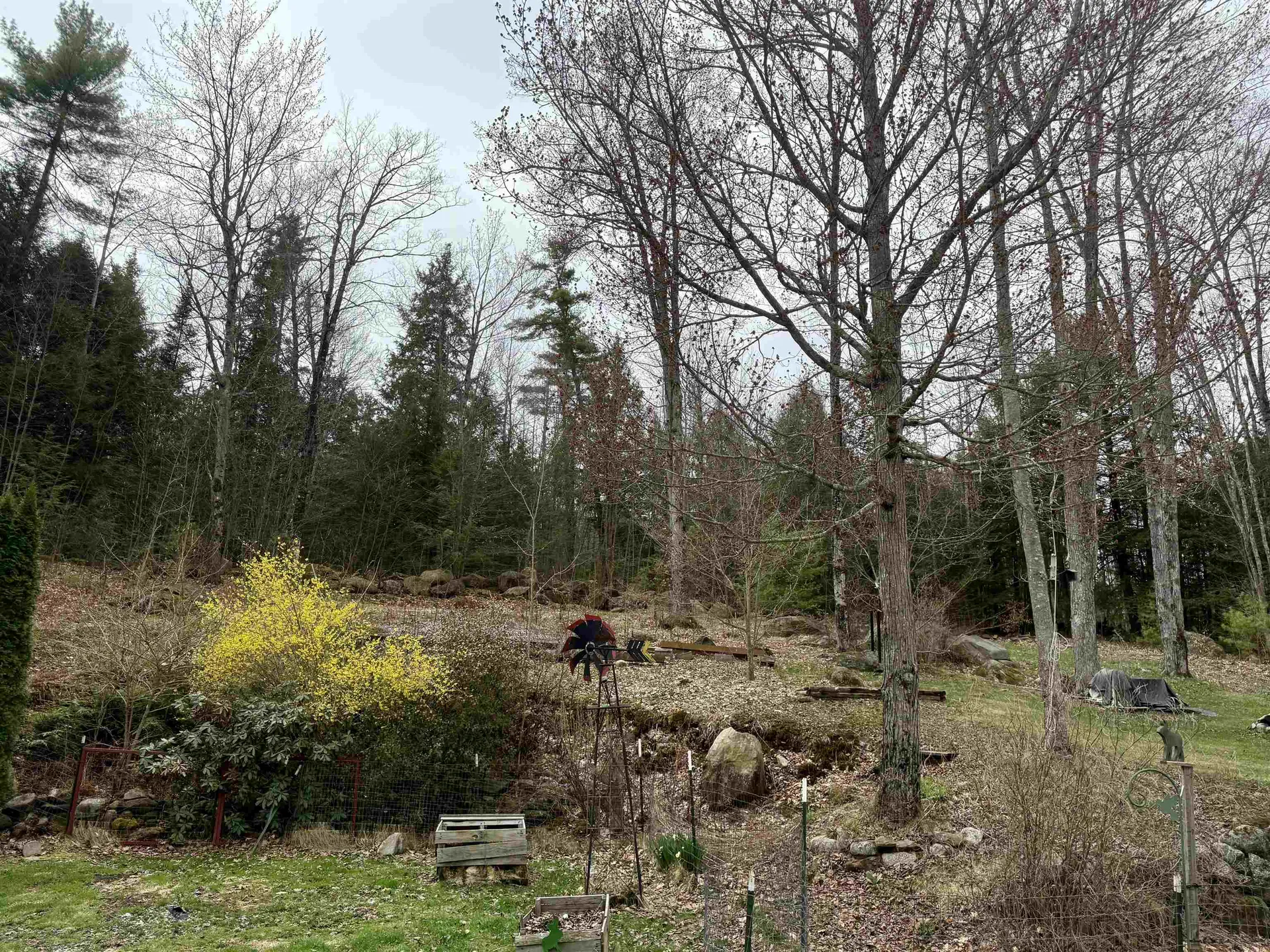 42 Farrell Loop Warner NH 03278
