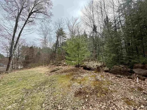 42 Farrell Loop Warner NH 03278
