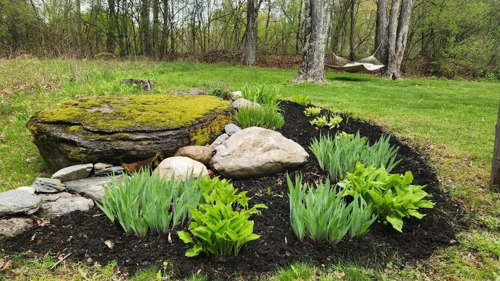 56 Burr Pond Road Sudbury VT 05733