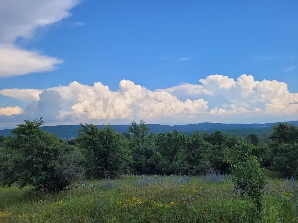 631 N Cream Hill Road Shoreham VT 05770