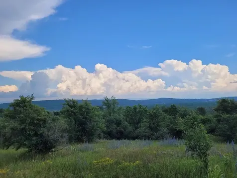 631 N Cream Hill Road Shoreham VT 05770