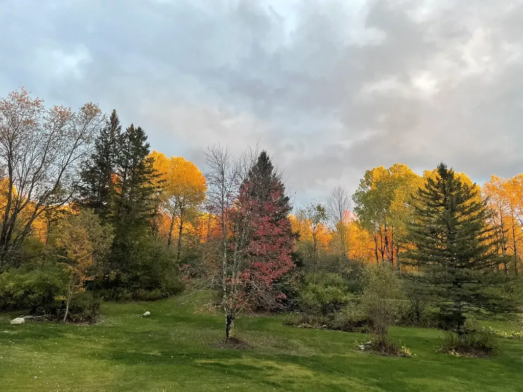13 Fox Run Road Underhill VT 05489