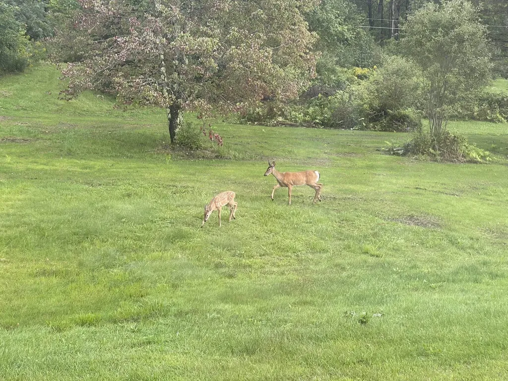 13 Fox Run Road Underhill VT 05489