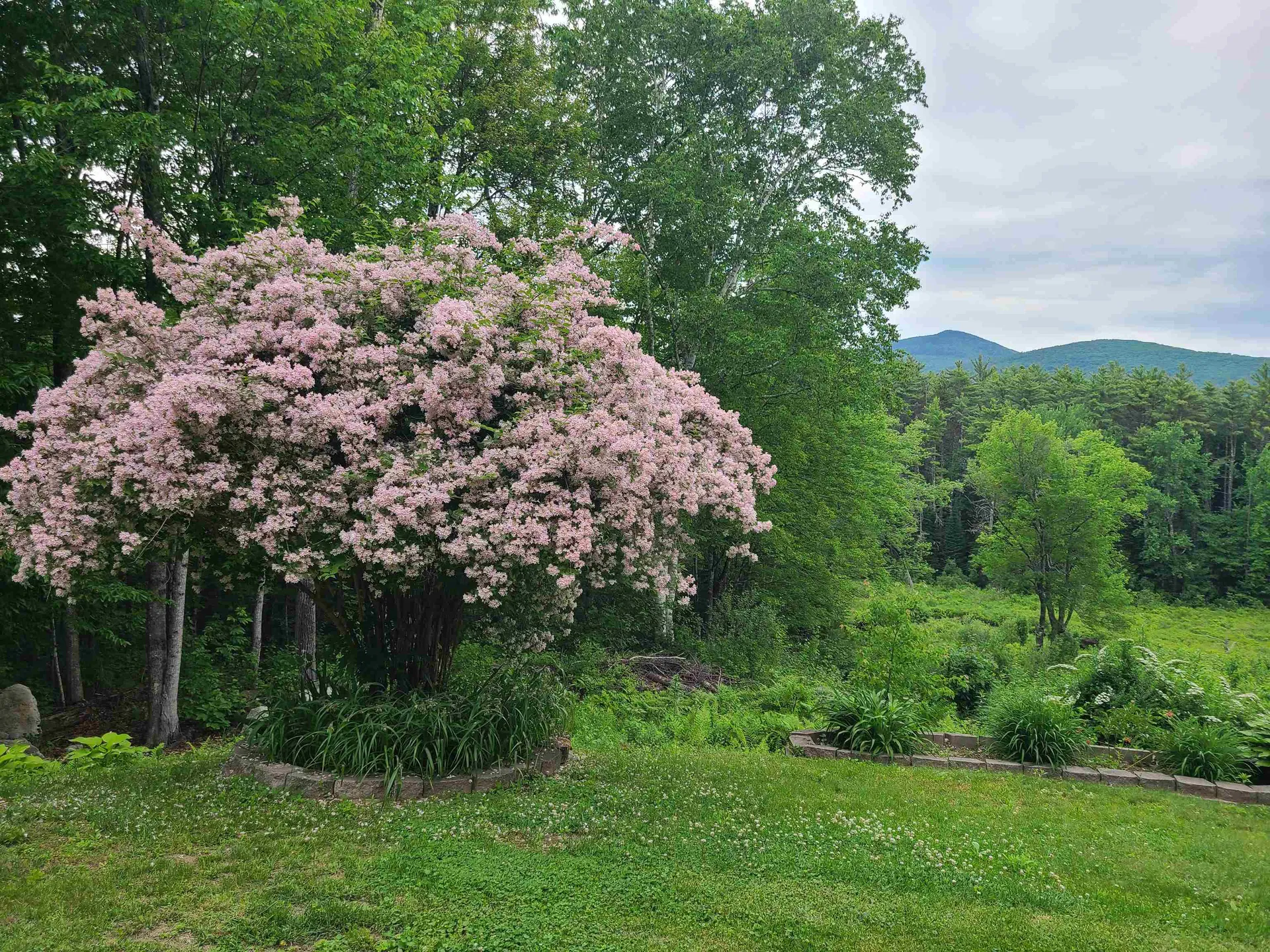 87 Sodom Road Tuftonboro NH 03816