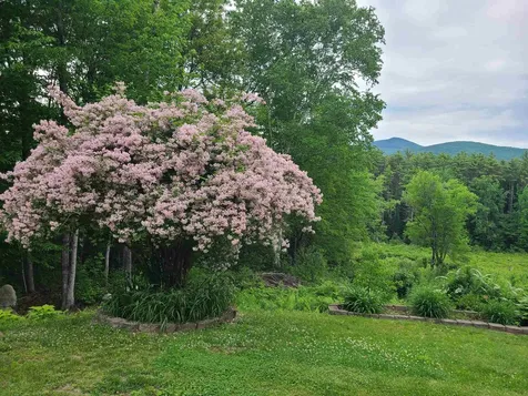 87 Sodom Road Tuftonboro NH 03816