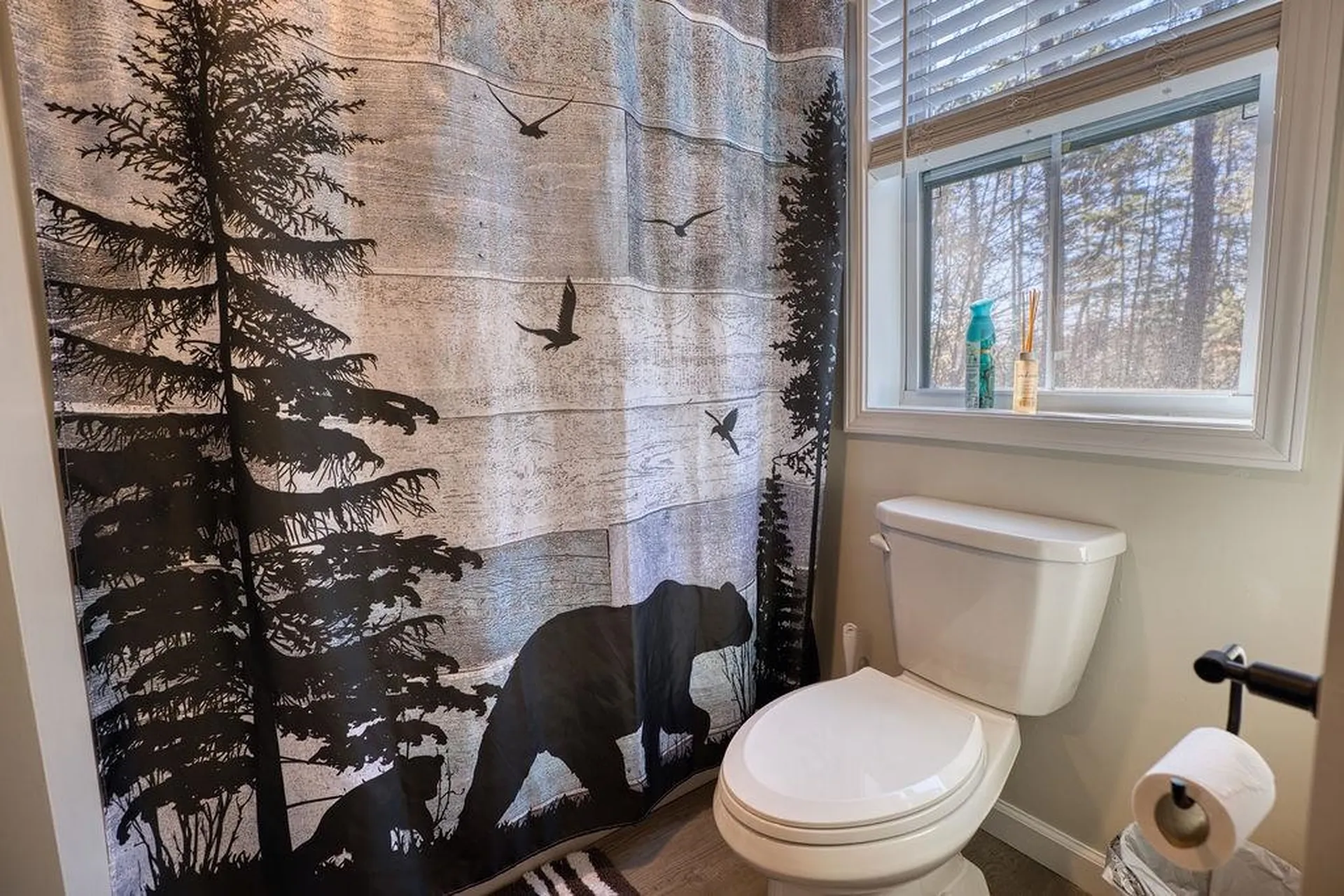 80 White Lake Road Tamworth NH 03817