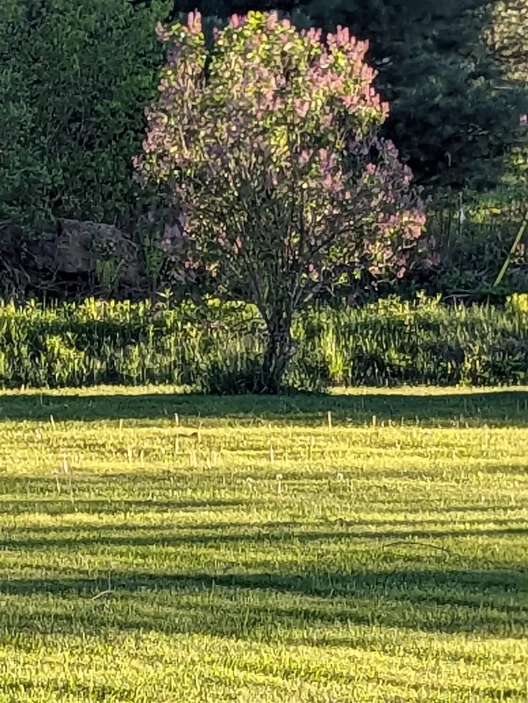 97 Frost Hill Road Mount Holly VT 05758