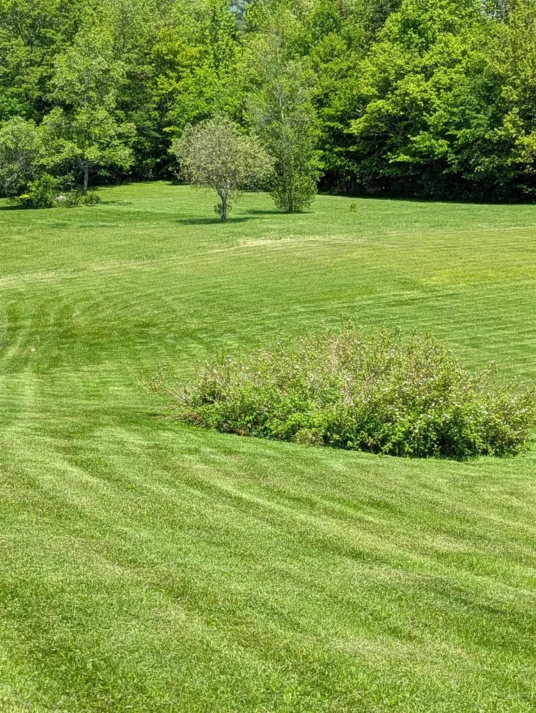 97 Frost Hill Road Mount Holly VT 05758
