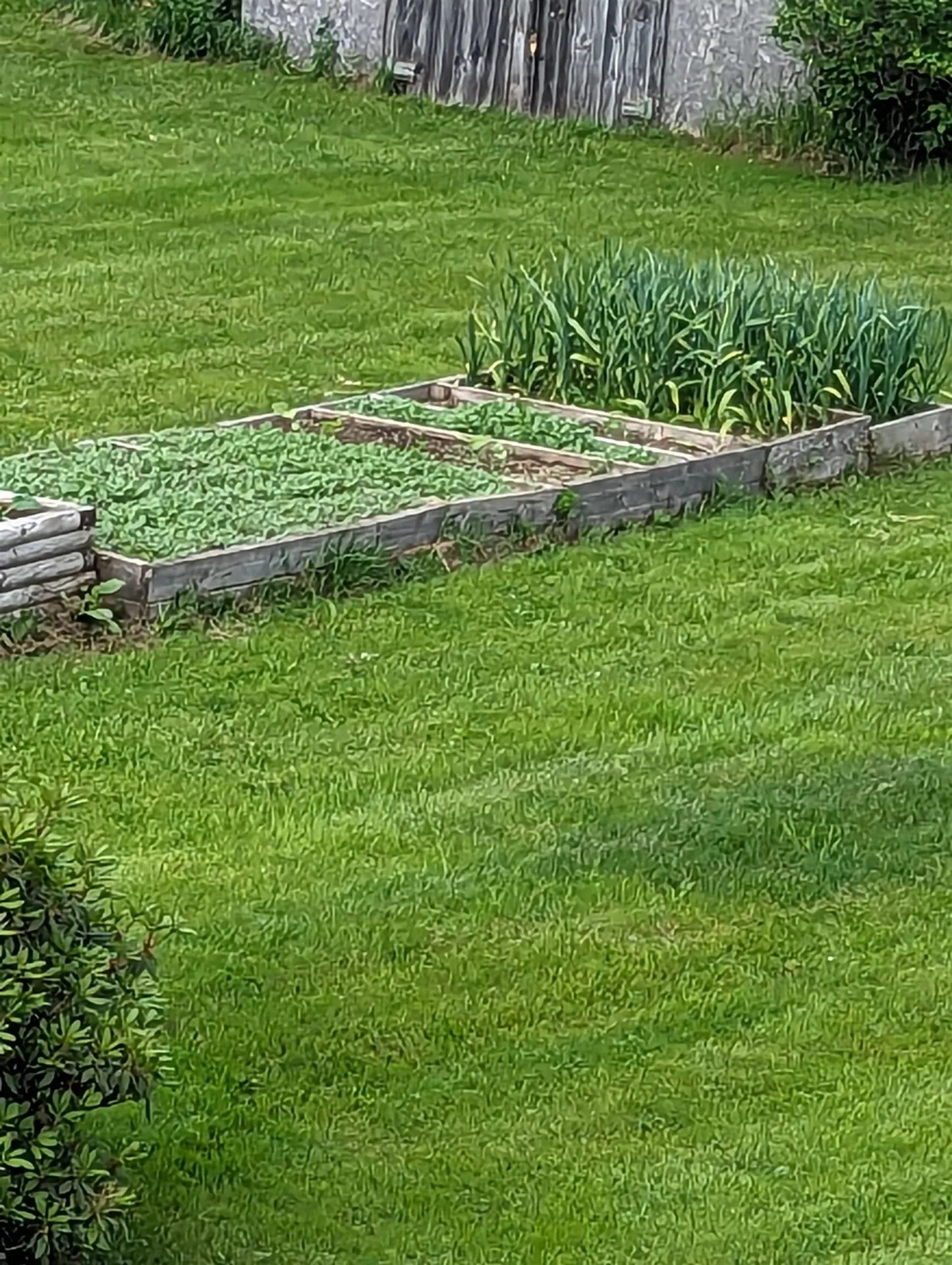 97 Frost Hill Road Mount Holly VT 05758