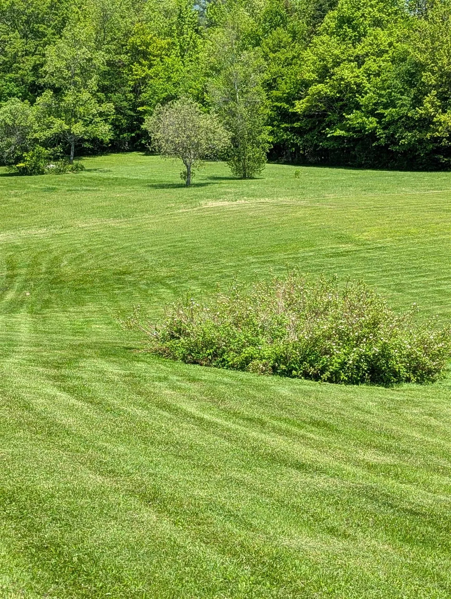 97 Frost Hill Road Mount Holly VT 05758