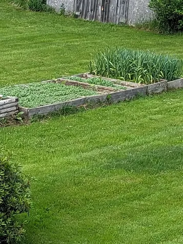 97 Frost Hill Road Mount Holly VT 05758