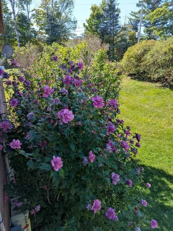 97 Frost Hill Road Mount Holly VT 05758