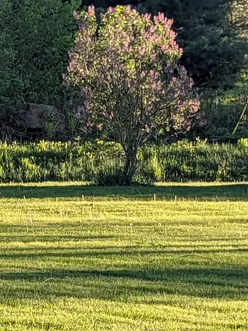 97 Frost Hill Road Mount Holly VT 05758