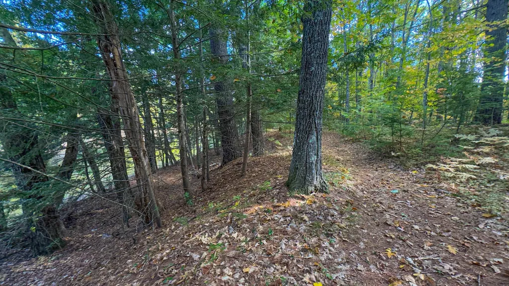 62 Sandy Circle Brownfield ME 04010