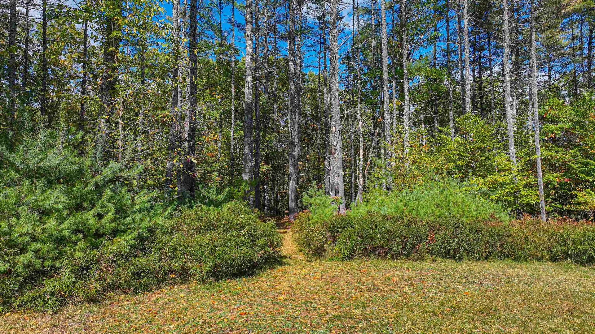 62 Sandy Circle Brownfield ME 04010