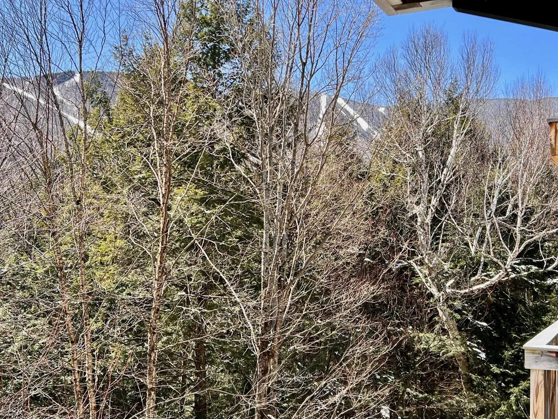102 Upper Phase Road Warren VT 05674