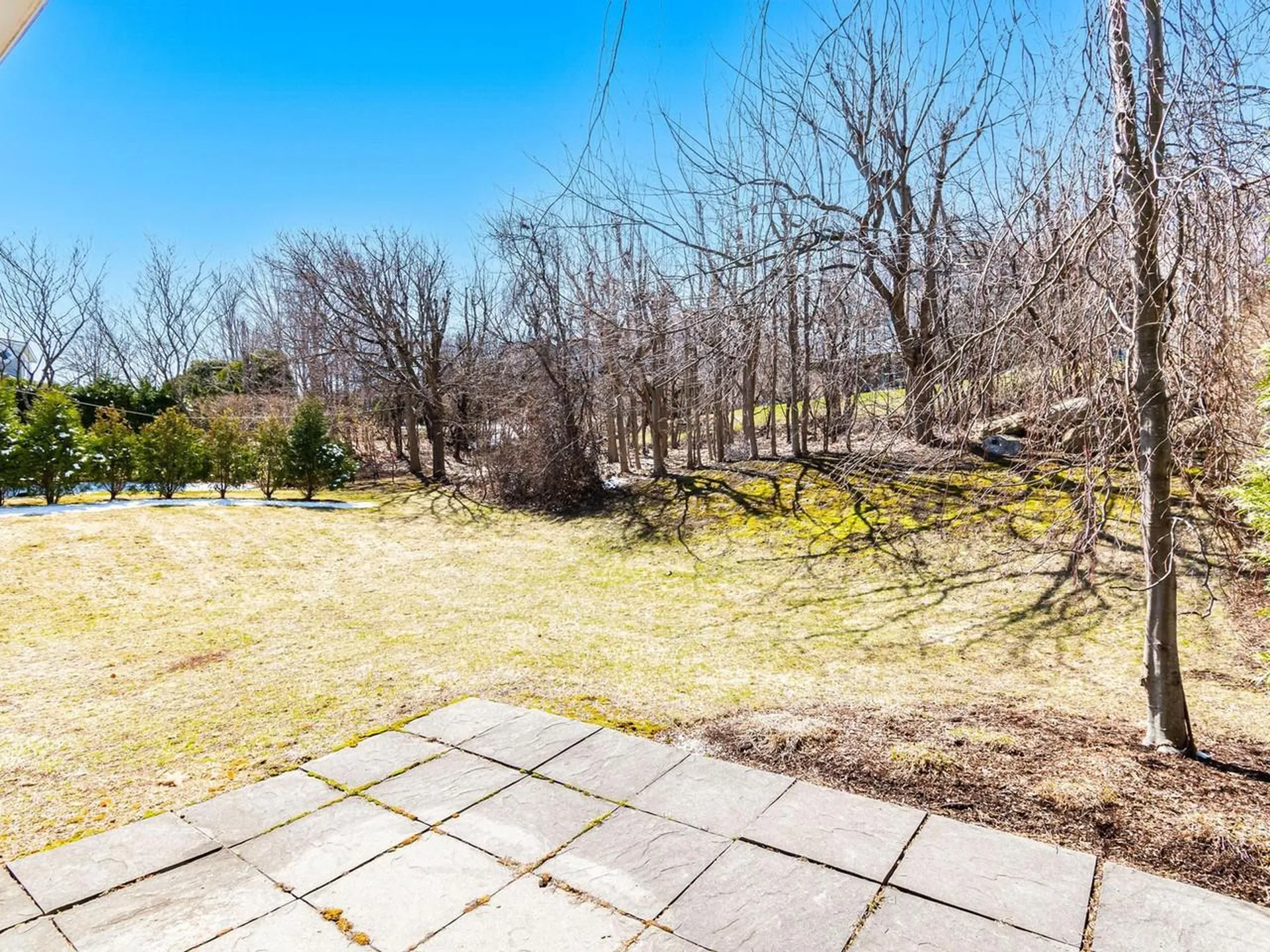 213 Park Road South Burlington VT 05403
