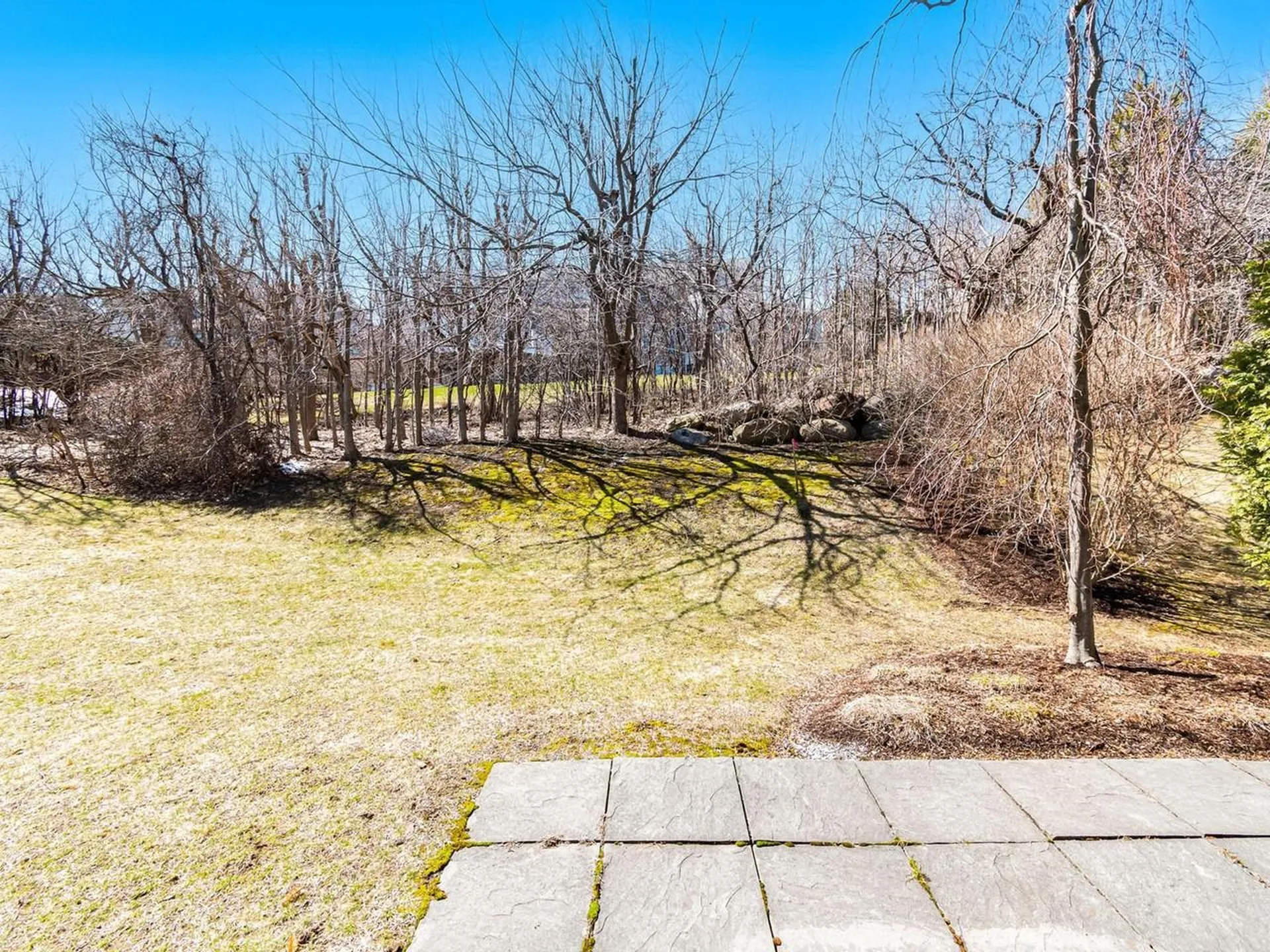 213 Park Road South Burlington VT 05403