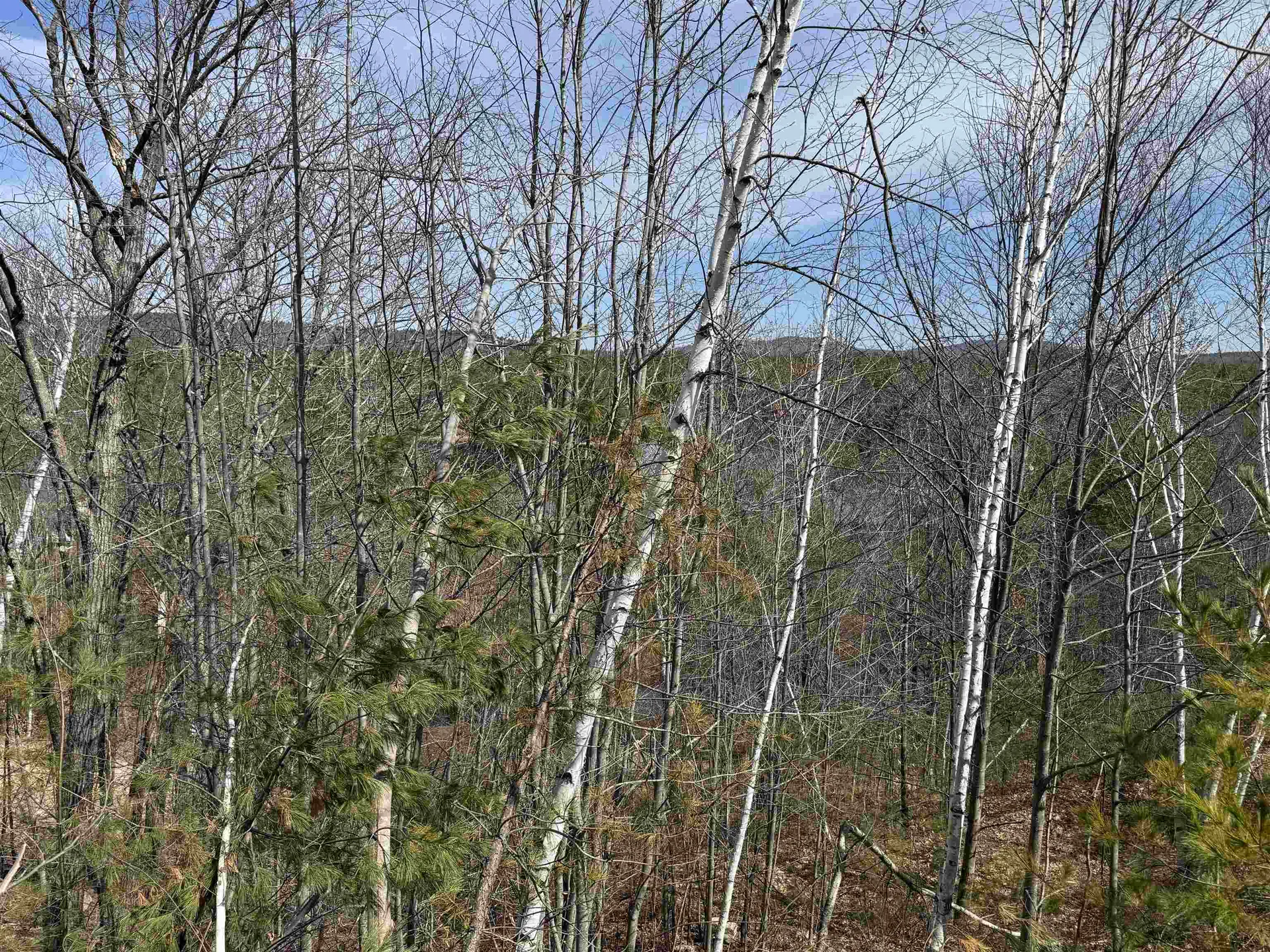 149 Sleepy Hollow Road Wakefield NH 03830