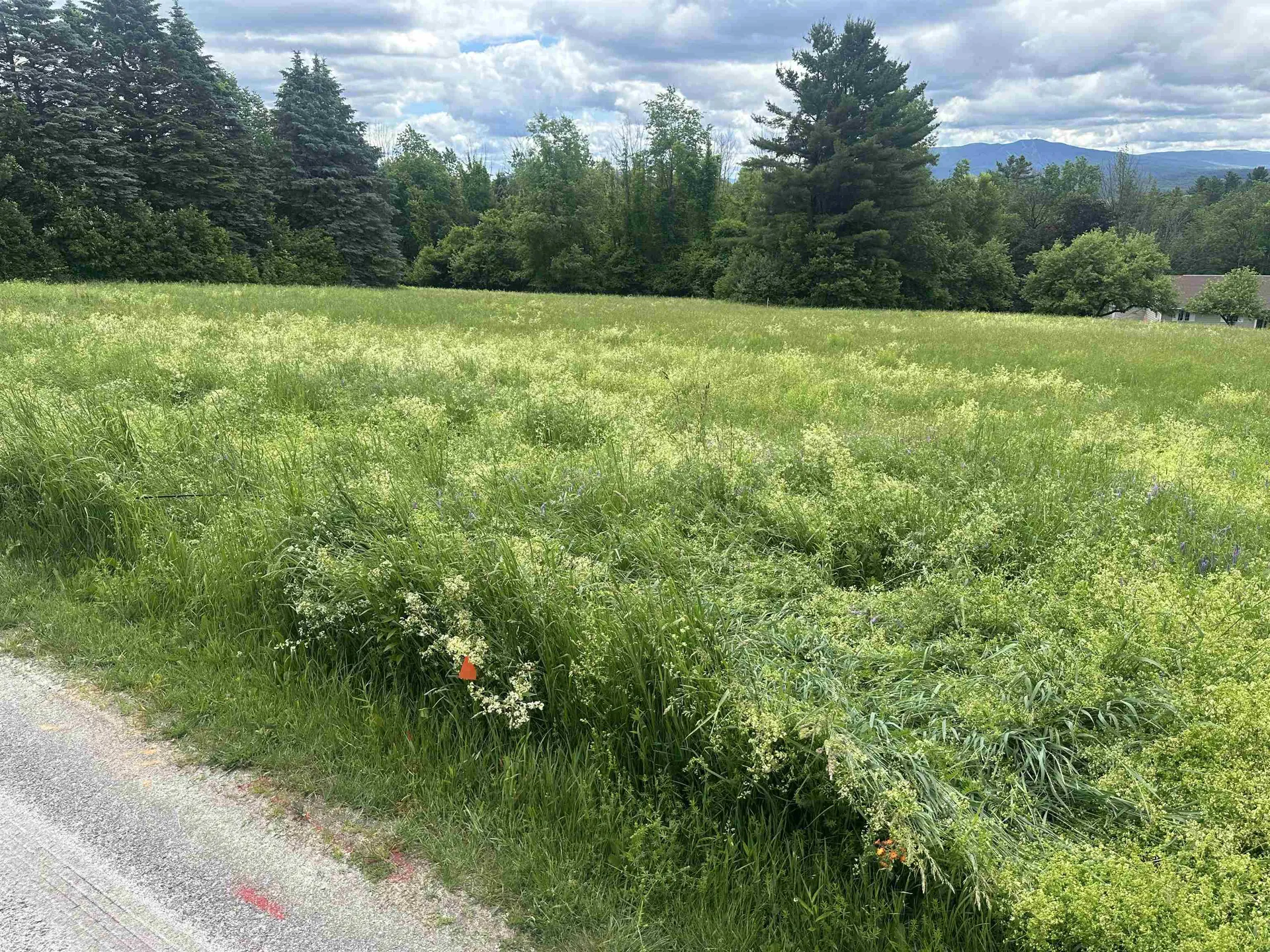 Lot 31 North Road Sunapee NH 03782