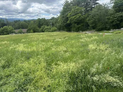 Lot 31 North Road Sunapee NH 03782