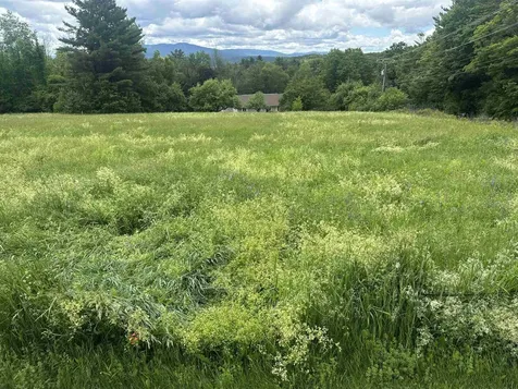 Lot 31 North Road Sunapee NH 03782