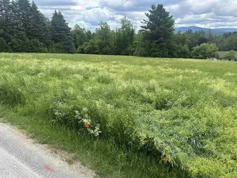 Lot 31 North Road Sunapee NH 03782