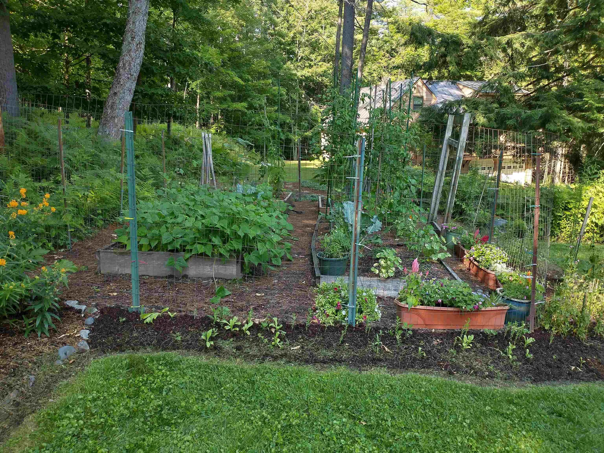 455 Hawk Pine Road Norwich VT 05055