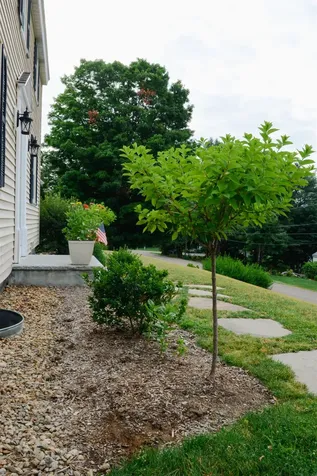 82 Kaufmann Drive Peterborough NH 03458